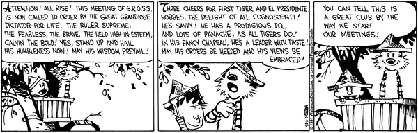 G.R.O.S.S. Protocol - Calvin and Hobbes Database
